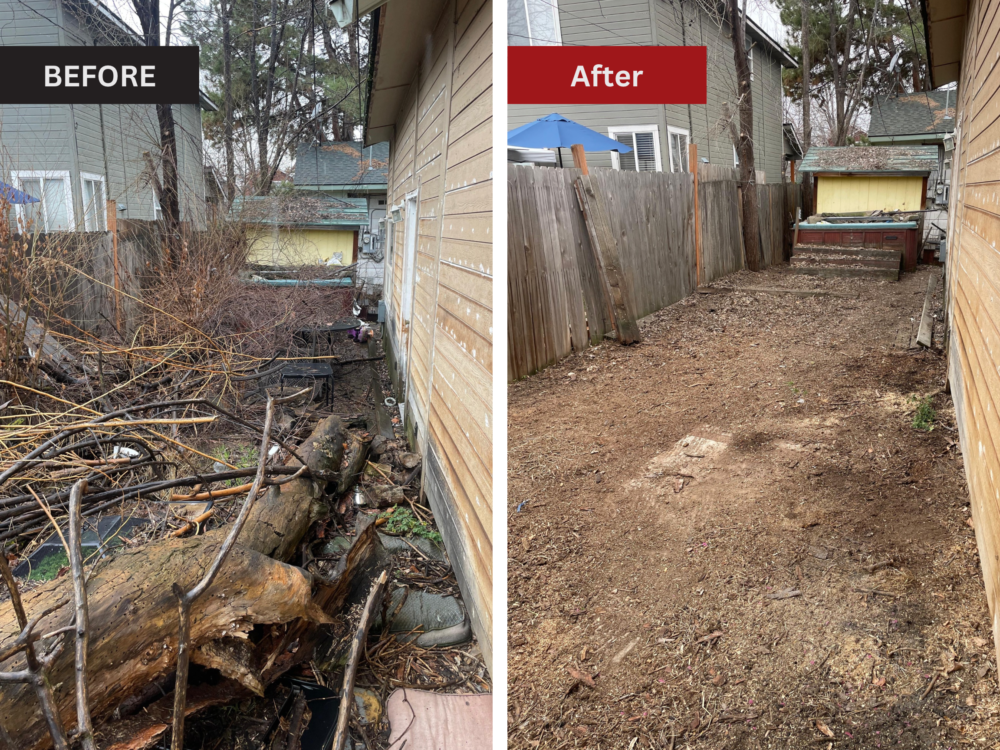 Before and after image of overgrown yard and debris cleanup